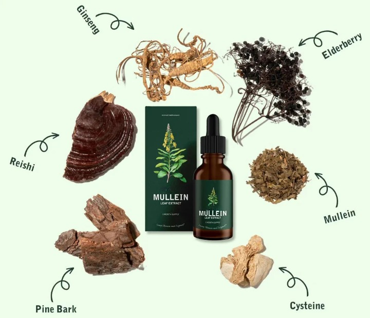 Extrato de Mullein VitalGreen - Limpeza Natural para Seus Pulmões