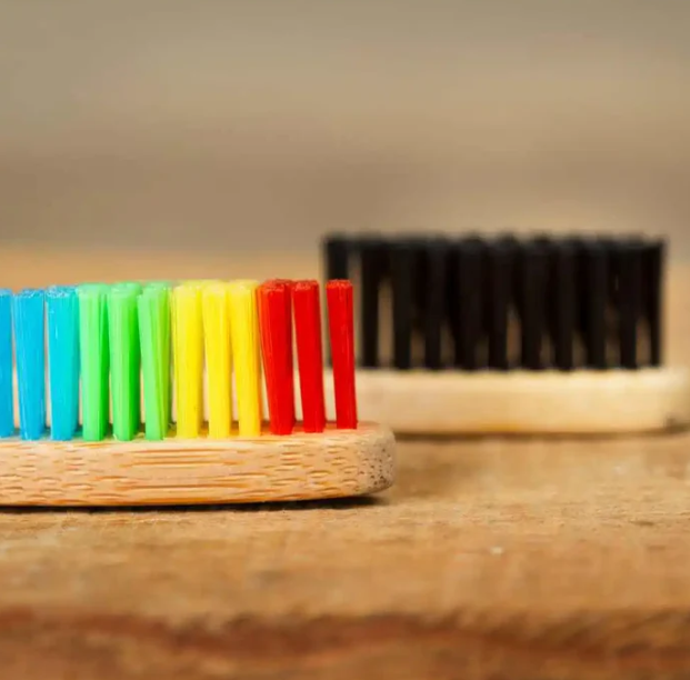 kit 10 Escovas EcoBrush - A Maciez que Preserva o Planeta